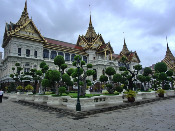 CIMG7555.JPG CIMG7555