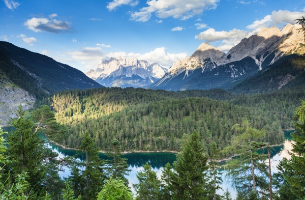 IMG_2118Final.jpg IMG 2118Final