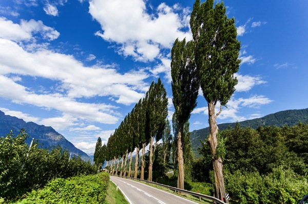 IMG_2228Final.jpg IMG 2228Final