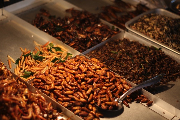 IMG_2359.JPG IMG 2359