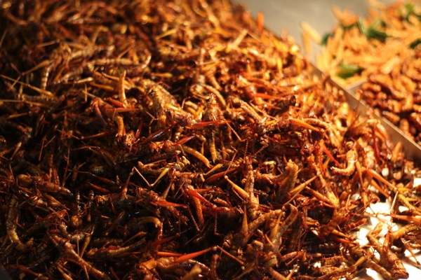 IMG_2360.JPG IMG 2360