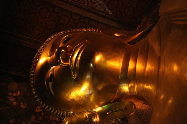 IMG_2517.JPG IMG 2517