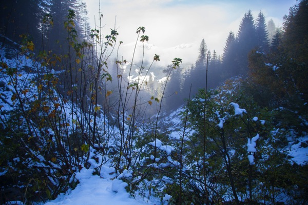 IMG_2534Final.jpg IMG 2534Final