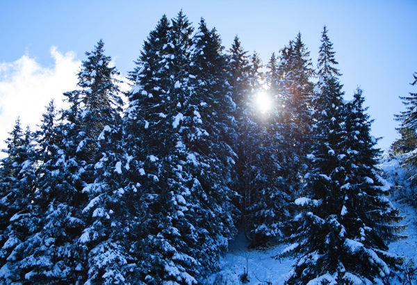 IMG_2588Final.jpg IMG 2588Final