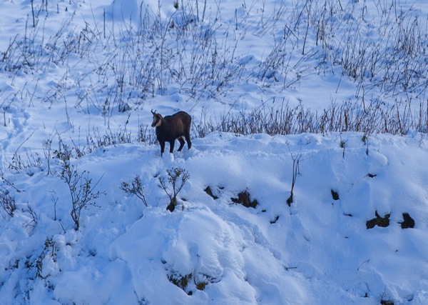 IMG_2598Final.jpg IMG 2598Final