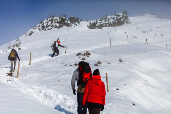 IMG_2614Final.jpg IMG 2614Final