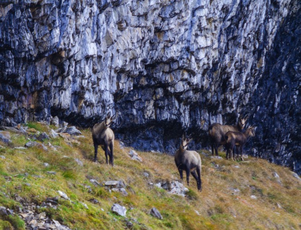 IMG_0078Final.jpg IMG 0078Final