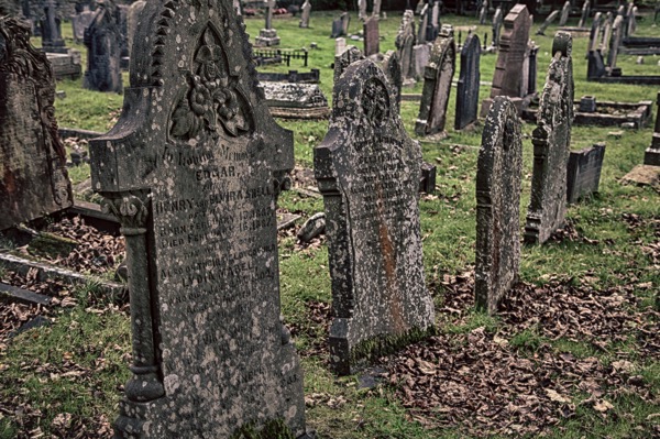 IMG_0099_HDRxFinal.jpg IMG 0099 HDRxFinal