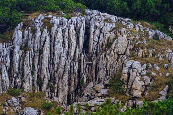 IMG_0174Final.jpg IMG 0174Final