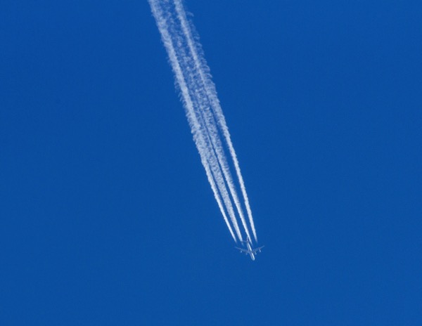 IMG_0272Final.jpg IMG 0272Final