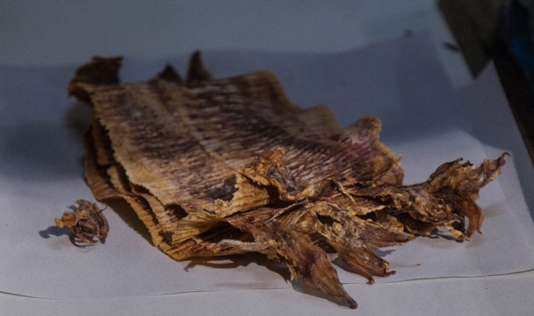 IMG_1534Final.jpg IMG 1534Final