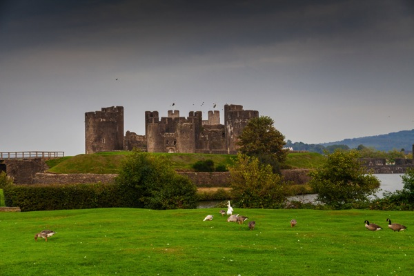 IMG_8671Final.jpg IMG 8671Final