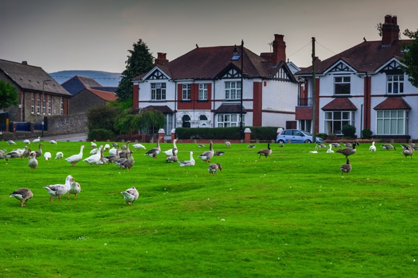 IMG_8674Final.jpg IMG 8674Final