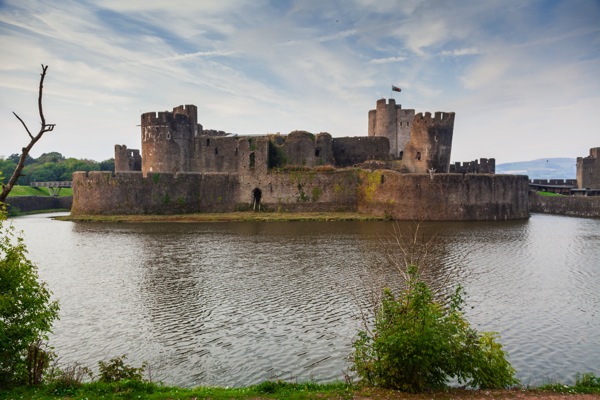 IMG_8688Final.jpg IMG 8688Final