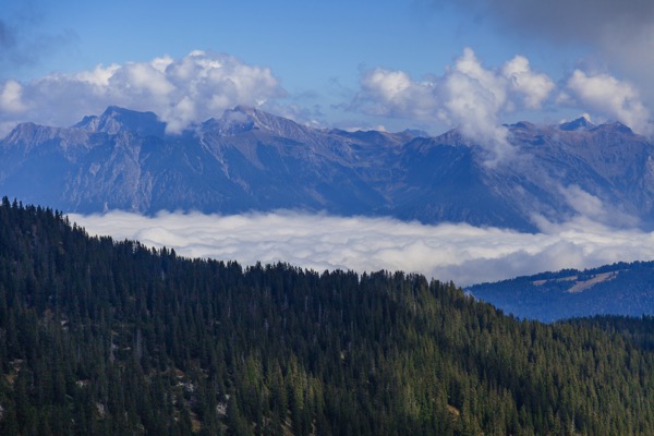 IMG_9438Final.jpg IMG 9438Final