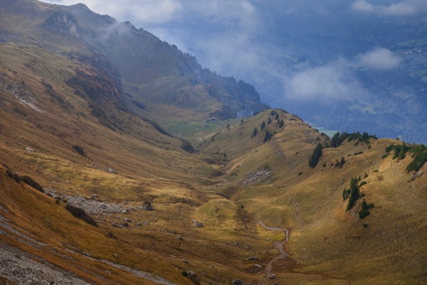 IMG_9471Final.jpg IMG 9471Final