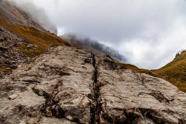 IMG_9489Final.jpg IMG 9489Final