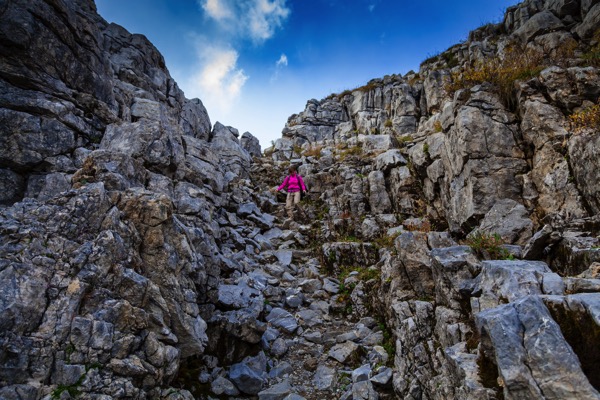 IMG_9532Final.jpg IMG 9532Final