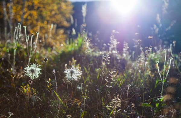 IMG_9561Final.jpg IMG 9561Final