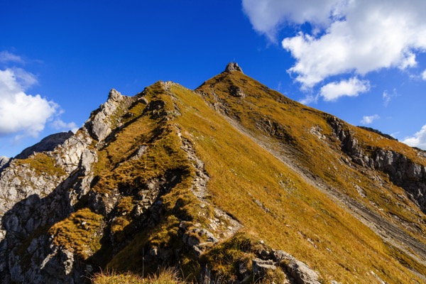 IMG_9619Final.jpg IMG 9619Final