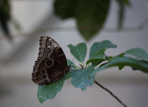 IMG_8998.jpg IMG 8998