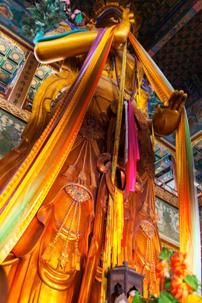 IMG_7657Final-5D-mk2-.jpg IMG 7657Final 5D mk2