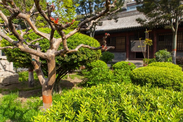 IMG 8024Final 5D mk2