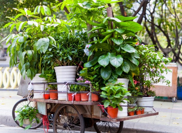 IMG 8436Final 5D mk2