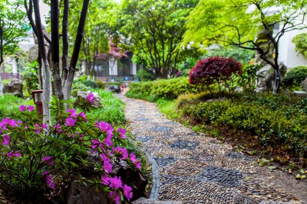 IMG 8773Final 5D mk2