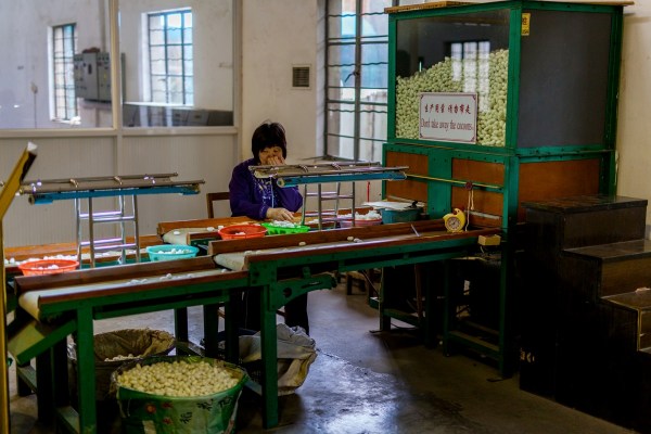 IMG 8837Final 5D mk2