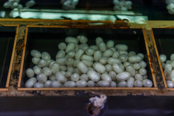 IMG 8847Final 5D mk2