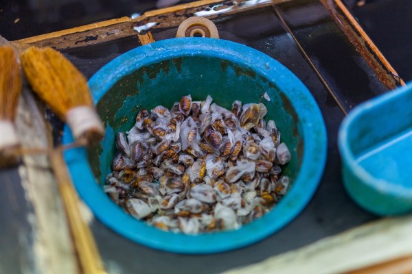 IMG 8848Final 5D mk2