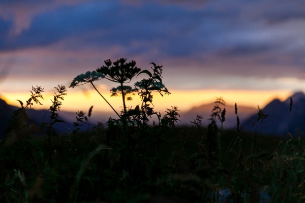 IMG_0220Final-5D-mk2.jpg IMG 0220Final 5D mk2