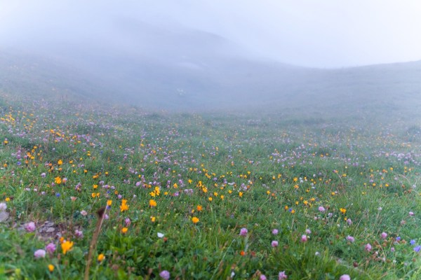 IMG 0243Final 5D mk2