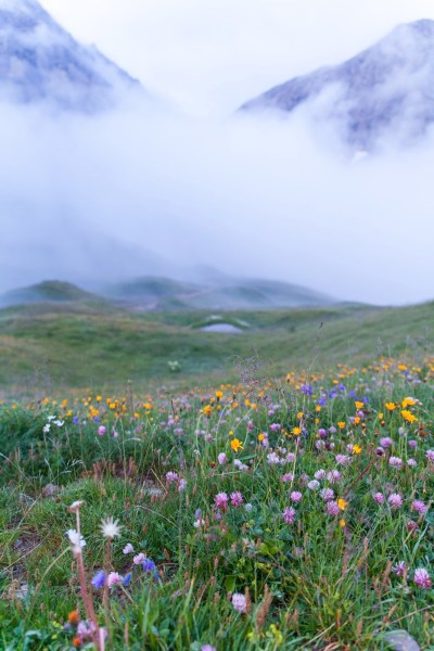 IMG 0247Final 5D mk2