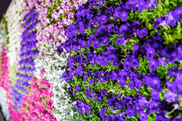 IMG 9079Final 5D mk2