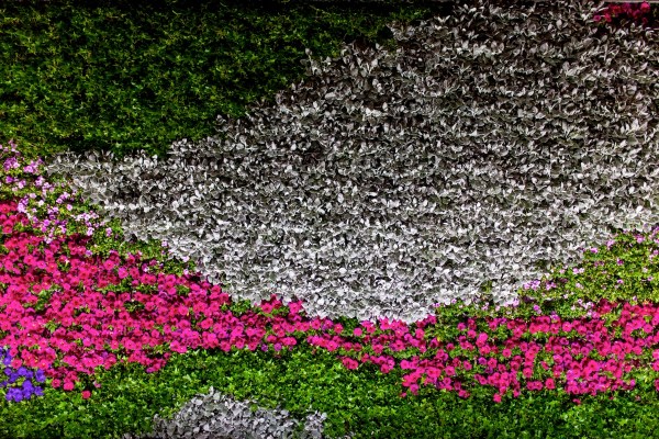 IMG 9081Final 5D mk2