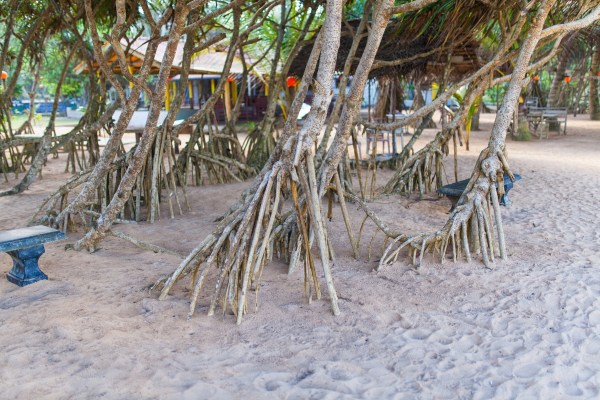 IMG 0564Final 5D mk2