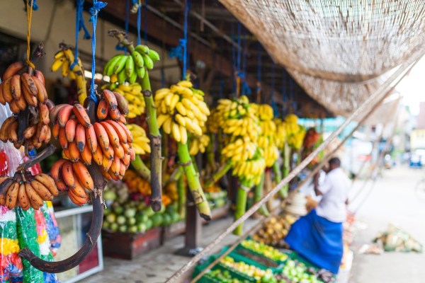 IMG 0628Final 5D mk2