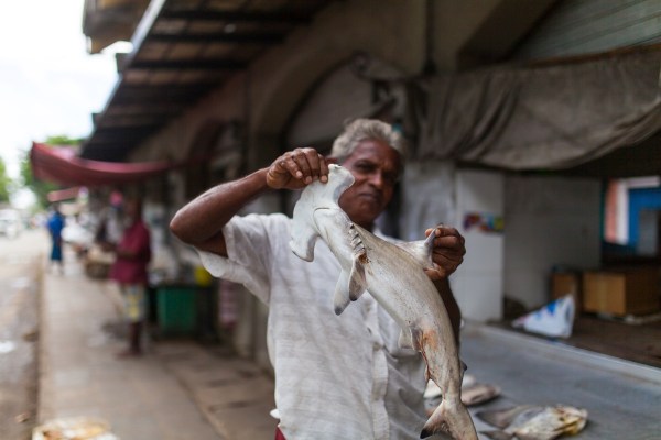 IMG 0640Final 5D mk2