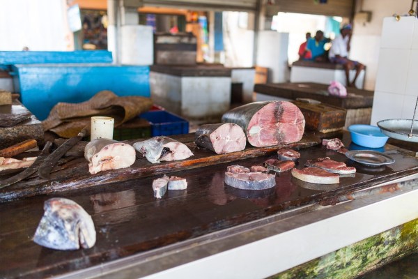 IMG 0648Final 5D mk2