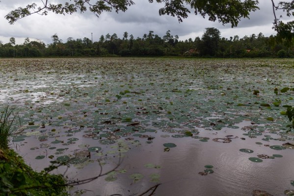 IMG 0734Final 5D mk2