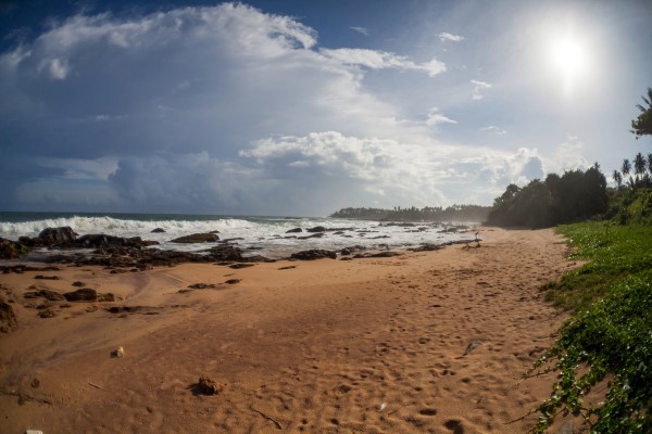 IMG_0751Final-5D-mk2.jpg IMG 0751Final 5D mk2