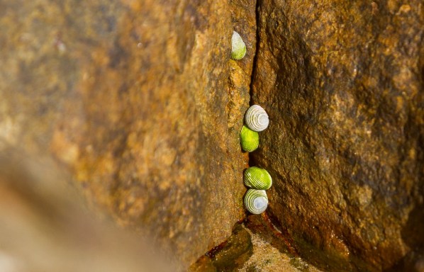 IMG_5201Final-7D.jpg IMG 5201Final 7D