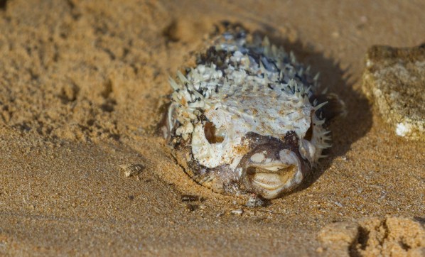 IMG_5215Final-7D.jpg IMG 5215Final 7D