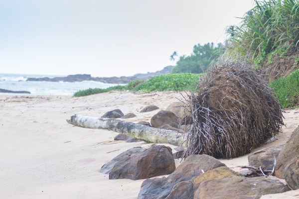 IMG_5239Final-7D.jpg IMG 5239Final 7D