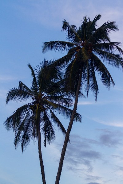 IMG_5256Final-7D.jpg IMG 5256Final 7D