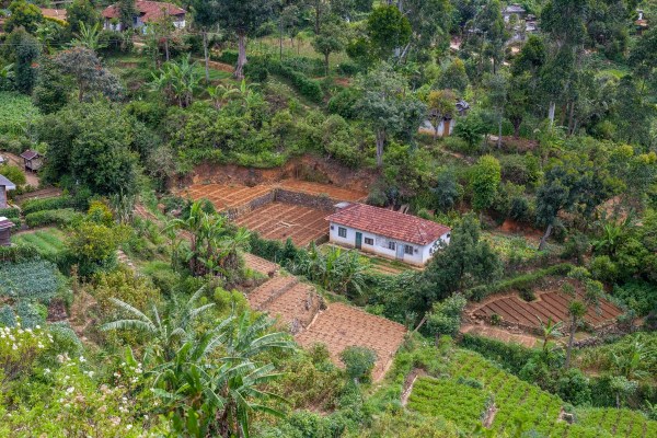 IMG 0987Final 5D mk2