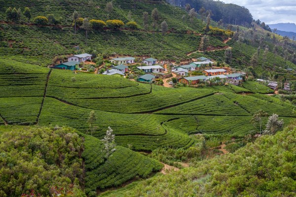 IMG 0993Final 5D mk2