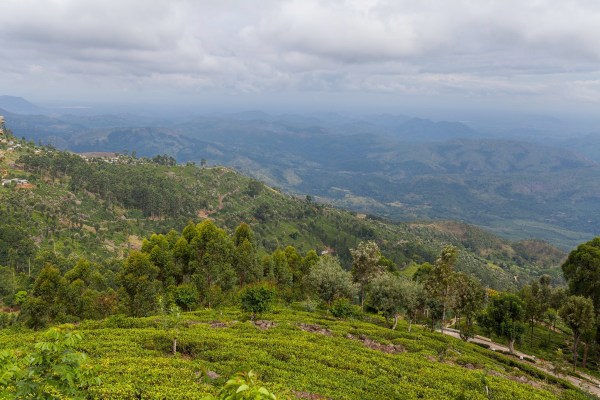 IMG 1003Final 5D mk2